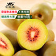 今鮮果四川紅心獼猴桃新鮮水果奇異果大果孕婦水果應季現摘中秋節送禮 紅心獼猴桃12個(gè)/單果70g以上