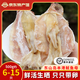 海鮮頌生曬魷魚(yú)母帶卵魷魚(yú)干海產(chǎn)品福建東山特產(chǎn)魷魚(yú)干 海鮮干貨 年貨禮 魷魚(yú)母500g約(6-15條)