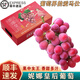 桃西村妮娜皇后葡萄【順豐速發(fā)】紅提子紅寶石葡萄陽光紅玫瑰水果禮盒 4.5斤精選果【單果20-25g】