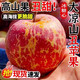 大涼山鹽源冰糖心蘋果丑蘋果紅富士脆甜多汁生鮮當(dāng)季新鮮整箱包郵 2斤裝【60mm以下迷你小小果】