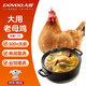 大用老母雞2.3斤 農(nóng)家散養(yǎng)老母雞 冷凍 走地雞月子雞湯 滋補營養(yǎng)