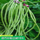 壽禾 豆角種子長(zhǎng)豇豆籽豆橛架豆四季秋冬季豆蔬菜苗壽光菜苗帶土秧苗 無(wú)架豆籽 50g