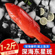 東星斑石斑魚(yú)燕尾斑新鮮活冷凍速凍海釣深海魚(yú)海鮮水產(chǎn) 深海東星斑1.1-1.3斤*2條