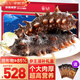 久年大連即食海參禮盒裝2斤10-16只京東自營(yíng) 遼刺參海鮮中秋禮品禮盒
