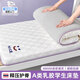 南極人乳膠單人床墊1.2x2米x1.9米學(xué)生宿舍專用席夢(mèng)思記憶棉褥子0.9x1.9 A類單邊乳膠-微笑白【厚約5cm】 120cm*200cm單人床【抗壓防塌】