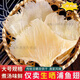 鰩魚(yú)翅海狗翅干貨全翅脯魚(yú)鰩魚(yú)翅軟骨翅魚(yú)刺翅煲湯魚(yú)鰭翅天星邊翅 中號魚(yú)翅250·g約18條