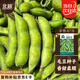 北蔬 毛豆種子種苗特早熟大莢菜豆青黃豆四季蔬菜籽 淮鮮豆7號種子50g