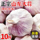 農(nóng)家大蒜頭新干蒜紫白皮大蒜種籽干蒜1斤5斤9斤河南干大蒜非鮮蒜 100g 曬足38天 精選干蒜