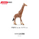 思樂(lè )（Schleich S）仿真非洲草原動(dòng)物模型長(cháng)頸鹿白尾鹿劍羚兒童玩具禮物男孩女孩 公長(cháng)頸鹿14749