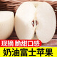 順豐山東新鮮奶油白蘋(píng)果牛奶脆甜黃金富士新鮮現摘現發(fā)中秋禮盒 奶油富士蘋(píng)果 凈重3斤裝(7-9個(gè)果)