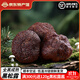 彝蓓朵云南新鮮黑松露 空運冷鏈牛排刺身食材 野生菌高黎貢山可泡酒禮盒 【全成熟】4-5cm新鮮黑松露可刺身用 500g 家庭實(shí)惠裝-刺身調料