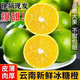 云南哀牢山冰糖橙新鮮5/9斤孕婦水果整箱手剝青綠皮橙子香甜柑橘R 3斤【帶箱實惠裝】