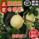 果益壽 肥城冬雪蜜桃【順豐-送貨上門(mén)】山東泰安正宗肥城桃子脆甜大白桃 8枚【單果6-7兩】彩箱裝
