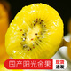 帆兒莊園黃心獼猴桃奇異果孕婦應季新鮮水果生鮮應季整箱大果當季彌猴桃 70-90g12枚