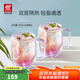 雙立人（ZWILLING）水杯杯子茶杯玻璃杯咖啡杯拿鐵杯雙層隔熱奶茶牛奶杯泡茶杯甜品碗 雙層馬克杯（炫彩）355ml2只