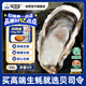 貝司令 鮮活乳山生態(tài)生蠔5XL 凈重9斤 14-18只 生鮮源頭直發(fā) 