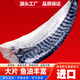 挪威青花魚(yú)片進(jìn)口新鮮低鹽去頭去尾去臟半成品刺身鯖魚(yú)片冷凍日料 魚(yú)油豐富3斤14片【兩周滋補】