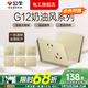 公牛G12香檳金開(kāi)關(guān)插座全屋套裝暗裝面板86型墻面帶5孔空調墻壁五孔 斜五孔10只（優(yōu)先發(fā)貨