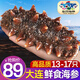 三只海豚 即食海參 大連鮮食刺參單個裝 高品質(zhì)遼刺參13-17只固形物≥60%