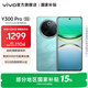 vivo Y300 Pro 國家補貼 6500mAh藍海電池 80W遠航閃充 7.69mm超薄機身 索尼5000萬(wàn)超清主攝 拍照手機 金鑲玉 8GB+256GB