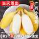 春福樂(lè ) 廣西小米蕉香蕉【源頭直發(fā)】10水果整斤小香蕉粉蕉自然熟蘋(píng)果蕉 精選5斤裝【老農手挑】?jì)?.5斤