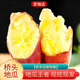 京地達海南澄邁橋頭地瓜新鮮蔬菜凈重5斤(單果100g+)源頭直發(fā)包郵