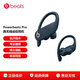 beats Powerbeats Pro 無(wú)線(xiàn)高性能耳機真無(wú)線(xiàn)藍牙運動(dòng) 被動(dòng)/主動(dòng)降噪 心率傳感Apple蘋(píng)果安卓通用耳機 海軍藍