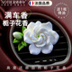 諾蒂爾法國車載香薰出風口高檔可愛高級感持久孕嬰可用新車內除異味香氛 梔子花出風口（送梔子花精油1瓶)）