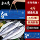 北海灣 青島大鲅魚(yú)禮盒 新鮮整條鲅魚(yú)海魚(yú)海鮮禮盒馬鮫魚(yú)魚(yú)類(lèi)送禮年貨 【凈重1斤/條】4條禮盒裝