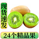 美詩妮 綠心獼猴桃 奇異果華美獼猴桃 新鮮水果生鮮水果 24個 單果70-90克