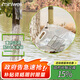 miniwell單兵戶(hù)外凈水器 應急凈水吸管 戶(hù)外水過(guò)濾器 重力過(guò)濾凈水袋 L605G重力過(guò)濾款