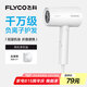 飛科（FLYCO）負(fù)離子電吹風(fēng)機(jī)家用便攜出游速干冷熱風(fēng)大功率吹風(fēng)筒FH6276
