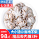 優(yōu)牧冠 八爪魚 去內(nèi)臟鮮活冷凍迷你小章魚海鮮軟足類夜宵燒烤食材 【免處理】約8-16只* 3斤(凈重)