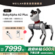 WEILAN BabyAlpha A2 Plus 256G 雅致灰 蔚藍阿爾法機器狗 全新一代人工智能機器狗 AI 機器狗 