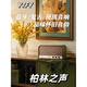 YTFY德國柏林之聲復(fù)古無線藍(lán)牙音響高音質(zhì)HiFi桌面音箱大音量低音炮 無線藍(lán)牙音響【布網(wǎng)罩】 官方標(biāo)配 原裝正品