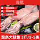 海賦 山東 鮮凍大魷魚(yú)凈重3斤 3-5條 整條魷魚(yú) 軟足類(lèi)-源頭直發(fā)