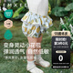 嫚熙（EMXEE）童裝2025新款女寶夏季女童吊帶背心套裝寶寶透氣寬松兒童上衣 梨想成真（花苞褲） 90 【1-2歲，建議體重9.5-13kg】