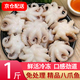 滋百尚去齒去內(nèi)臟冷凍新鮮八爪魚 迷你小章魚海鮮 軟足類燒烤食材 【嘗鮮裝】八爪魚 500g(凈重)