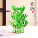 京云夢(mèng)富貴竹竹塔盆栽新居送禮盆景轉運寶塔節節高3層不含盆源頭直發(fā)