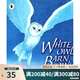 White Owl, Barn Owl 小學(xué)STEM百科圖畫(huà)書(shū)Walker Nature Story 綠山墻 英文原版繪本