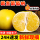 探味君 福建黃金葡萄柚 當季時(shí)令黃肉柚子新鮮水果整箱 生鮮 凈重4.5-5斤 【中大果】單果230g-350g