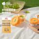 貝肽斯寶寶玻璃輔食盒保鮮儲存可帶蓋蒸煮蛋羹碗專(zhuān)用嬰兒輔食碗 南瓜橙