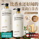 初蔓洗發(fā)水去屑止癢控油持久蓬松柔順無(wú)硅油男女士洗頭發(fā)膏露洗護套裝 【大牌香氛】白茶香氛洗發(fā)水850ml