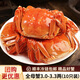 【活蟹】星河灣大閘蟹鮮活螃蟹全母蟹生鮮水產(chǎn)海鮮中秋國慶禮盒 精品全母蟹3.0-3.3兩 10只