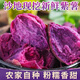 閩農(nóng)語果新鮮紫薯【產(chǎn)地直挖】低脂地瓜粉糯香甜板栗地瓜湖北生鮮紫薯 5斤【單果1-2兩】凈重4.5斤 【代餐好薯】