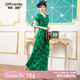 帝弗·潤(rùn)馳夏天長(zhǎng)款連衣裙2025新款波點(diǎn)長(zhǎng)裙大擺裙綠色印花洋氣雪紡?fù)系亻L(zhǎng)裙 綠色 S