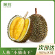 麓鵲紅肉榴蓮冷凍生鮮水果D101 2.5-3.0斤【嘗鮮4房果】