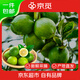 京覓重慶萬(wàn)州青檸檬凈重1斤單果80-100g生鮮水果源頭直發(fā)包郵
