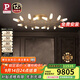 Paulmann P德國柏曼客廳大廳吸頂燈奢華銅制玻璃分子燈具 【大師系】推薦35-45㎡ 3000K