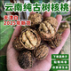 2025年新貨云南老樹(shù)核桃老品種核桃麻子核桃山核桃新貨薄皮核桃 2025年云南新貨老樹(shù)麻子山核桃 云南老品種深山古樹(shù)核桃5斤配夾子商超品質(zhì)